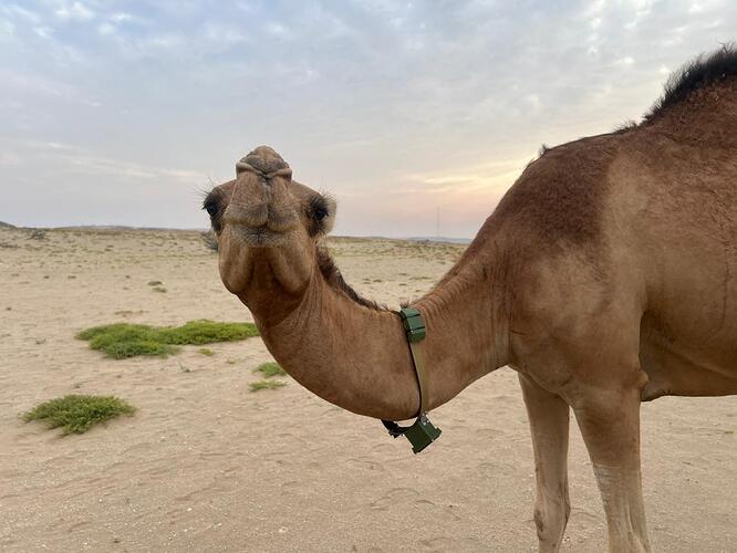 WhatsApp Image 2026-03-27 at 9.03.23 PM