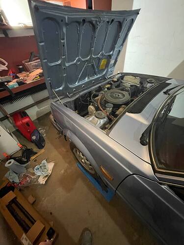 photo_2026-03-21_11-36-33