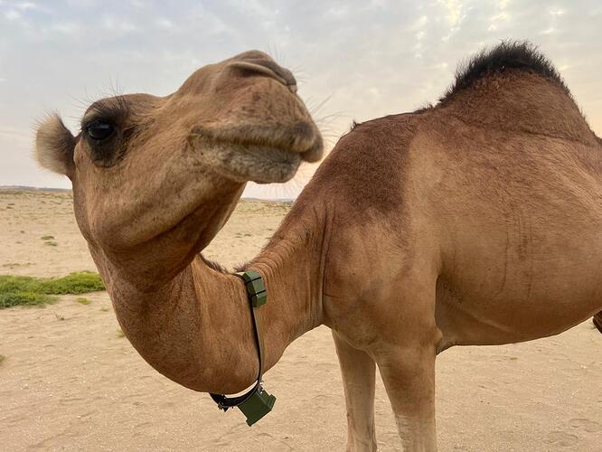 WhatsApp Image 2026-03-27 at 9.03.23 PM (1)